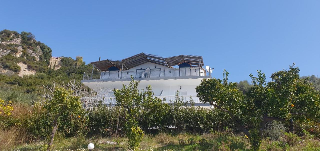 Αrilla Studios Perdika  Exterior foto